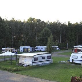 Mehrere Wohnwagen stehen auf einem Campingplatz am Waldrand mit viel grüner Natur.